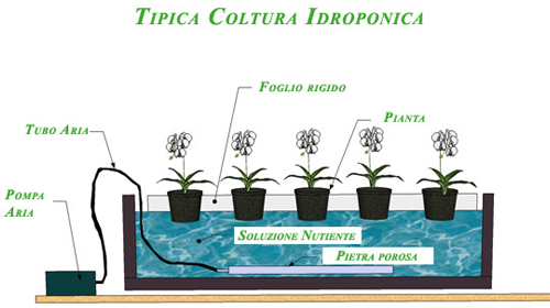 Idroponica2