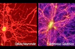 similitudine-universo-cervello